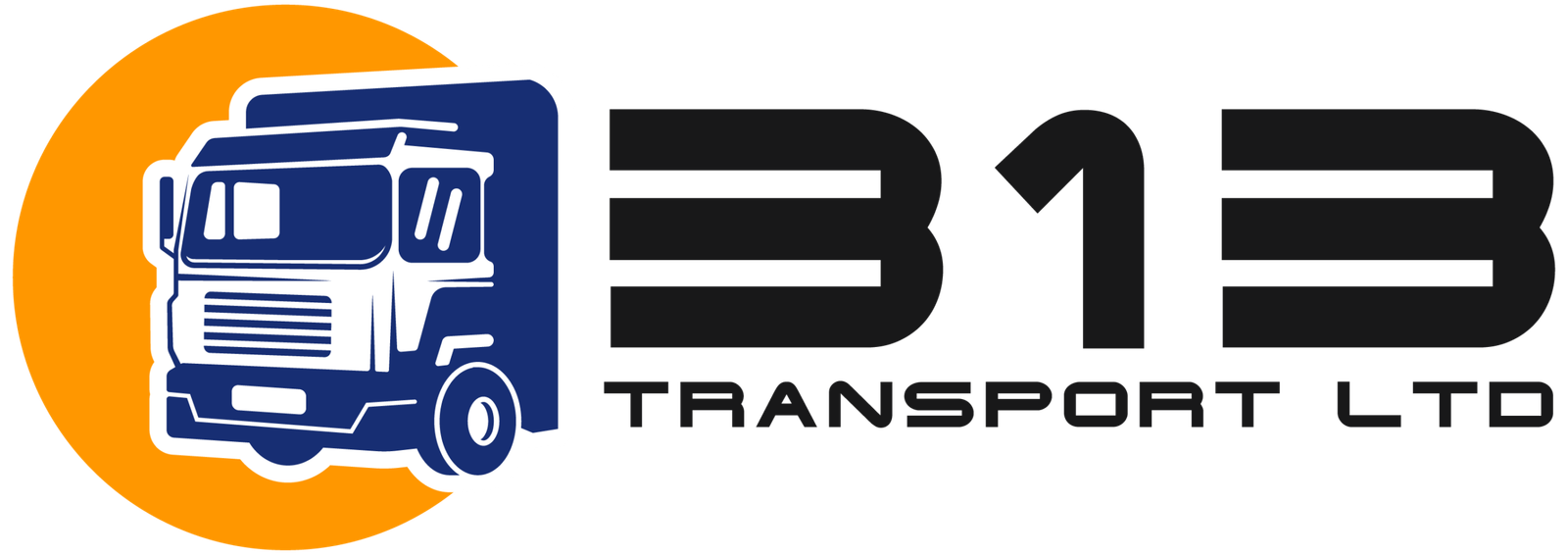 313 Transport LTD