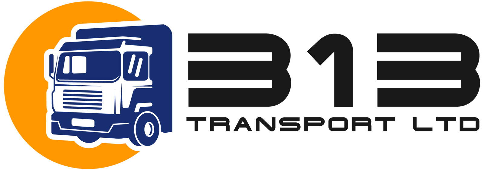 313 Transport LTD
